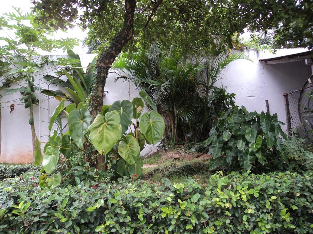 Iguassu Central Flats Foz do Iguaçu Eksteriør bilde